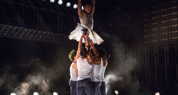 Montréal Complètement Cirque | « Somos », une réunion amicale
