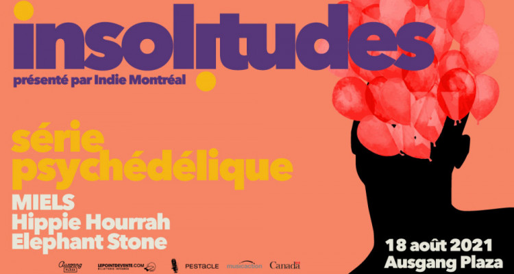 Une foule enthousiaste aux Insolitudes psychédéliques