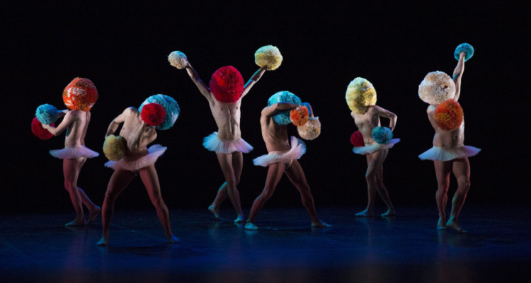 «TUTU» des Chicos Mambo : la danse dans tous ses états débarque au Québec