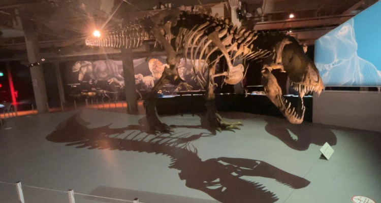 Centre des Sciences de Montréal | Découvrez le tyrannosaurus rex comme vous ne l’avez jamais vu